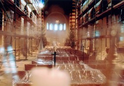 Das Wettbewerbsfoto von Michael M&ouml;ller