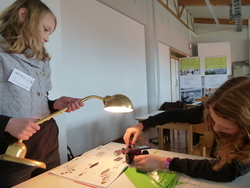 Sch&uuml;lerinnen bauen Solarauto