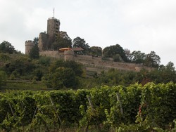 Bild zur Jahrestagung 2009