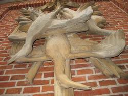 Jagdtroph&auml;e aus Baumberger Kalksandstein am Jagdschloss Clemenswerth in S&ouml;gel  (Foto:Rober